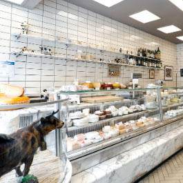 La petite vache
