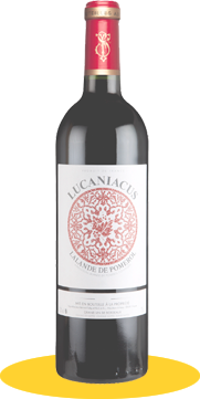 LACANIACUSCuvée :LACANIACUSAppellation :Lalande de PomerolMillésime :2022Couleur :RougeCépage :100% Cabernet FrancLabel :HVEDégustation :Equilibré et soyeux.